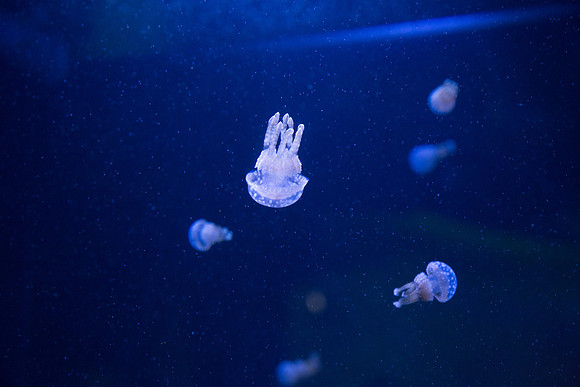 20170508_Science_Museum_9C7C5572