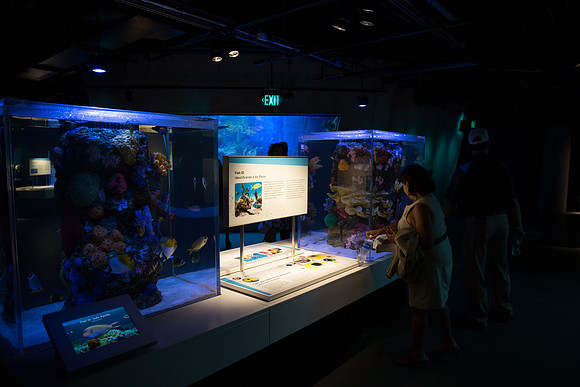 20170508_Science_Museum_9C7C5387