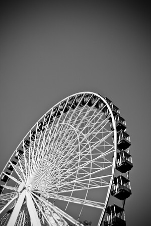 0015_DG_Chicago_USA_2009_5L8Y1417