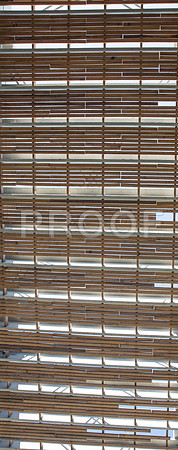 20140801_Pamm_9C7C7870