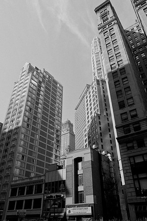 0015_DG_Chicago_USA_2009_5L8Y1964