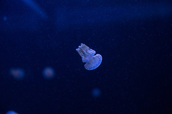 20170508_Science_Museum_9C7C5592