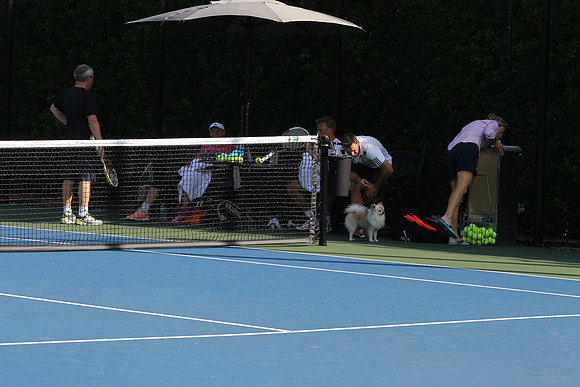 20141224_CAROLINE_WOZNIACKI_AL1B1171