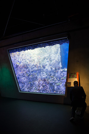 20170508_Science_Museum_9C7C5388