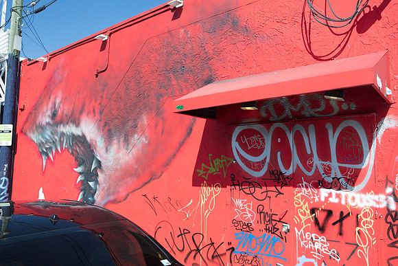 20161108_Wynwood_H5D2770