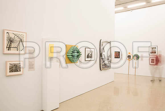 20140801_Pamm_9C7C8301