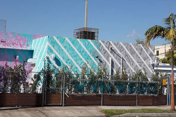 20161122_Wynwood_S5D1651
