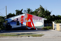 20151109_Wynwood_Miami_75A8305