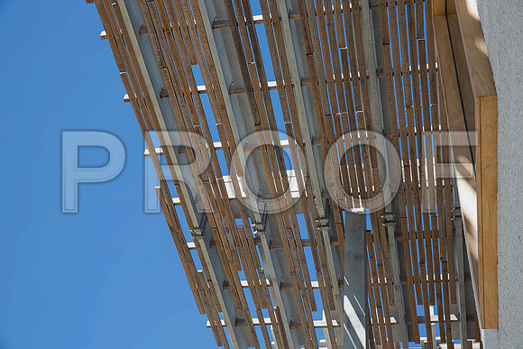 20140801_Pamm_9C7C7929