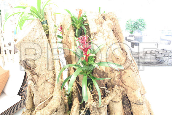 20140402_Artefacto_9C7C3020