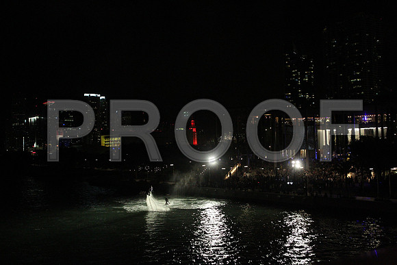 20141204_Pamm_Basel_2014_AL1B6672