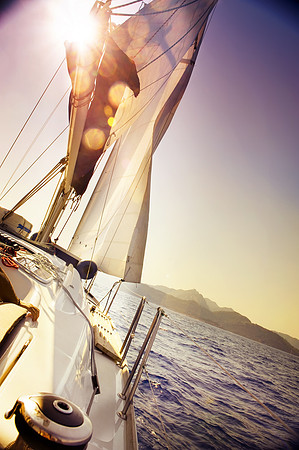 shutterstock_84461812