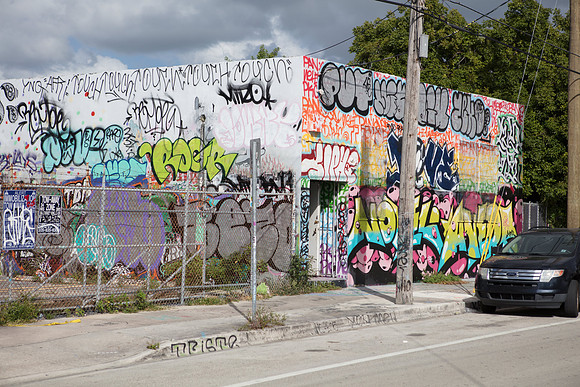 20161108_Wynwood_S5D3203