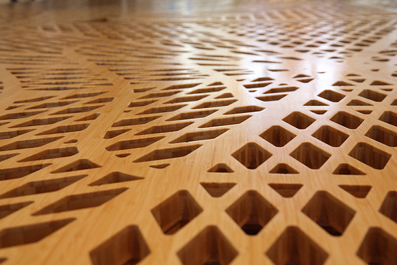 20150225_Wolfsonian_Museum_nick_Table_9C7C0195