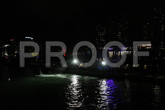 20141204_Pamm_Basel_2014_AL1B6257