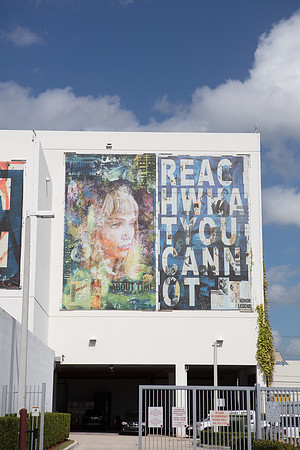20161108_Wynwood_H5D2906