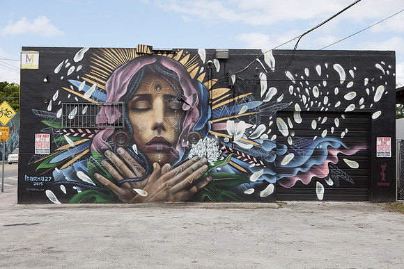 20161108_Wynwood_H5D2962