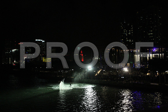20141204_Pamm_Basel_2014_AL1B6673