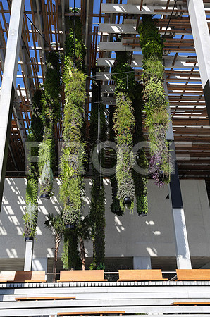 20140806_9C7C9674