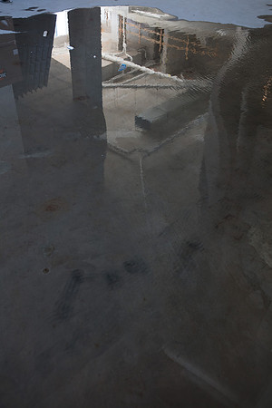 20170424_Park_Grove_Moriarty_S5D0115