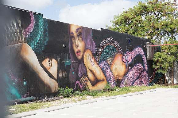 20161108_Wynwood_H5D2929