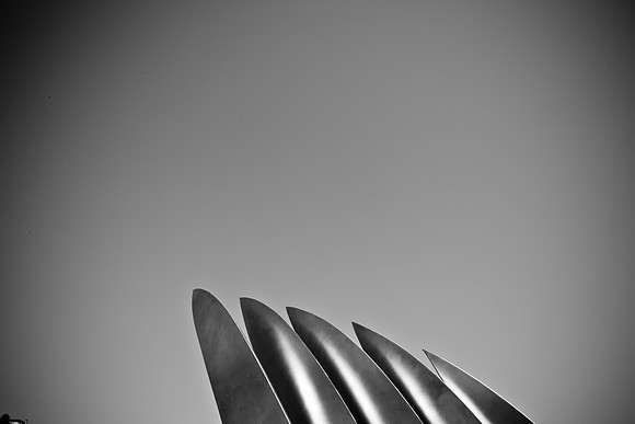 0026_DG_Tiburon_CA_USA_2009_5L8Y1929
