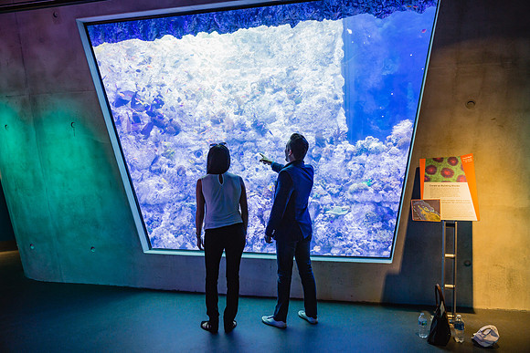 20170508_Science_Museum_9C7C5397