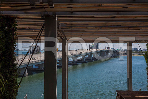 20140801_Pamm_9C7C8009