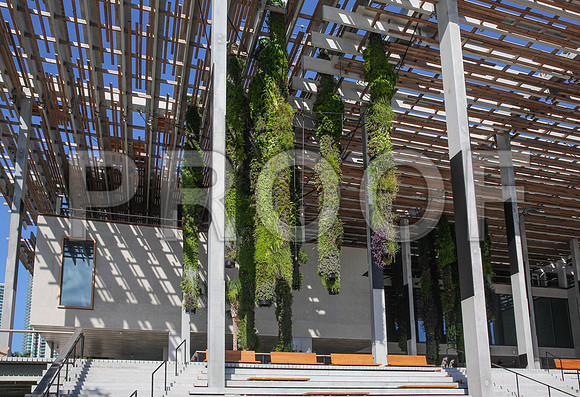 20140806_9C7C9695