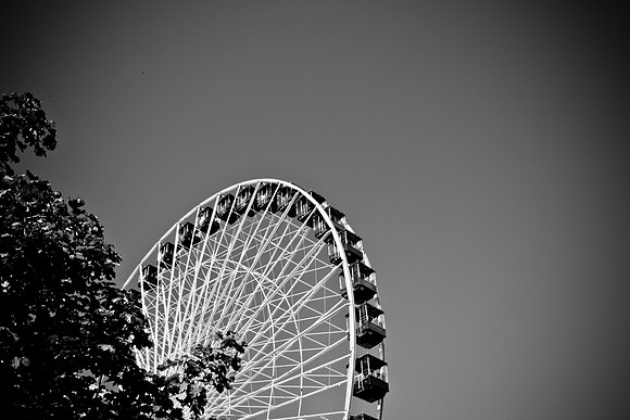 0015_DG_Chicago_USA_2009_5L8Y1429