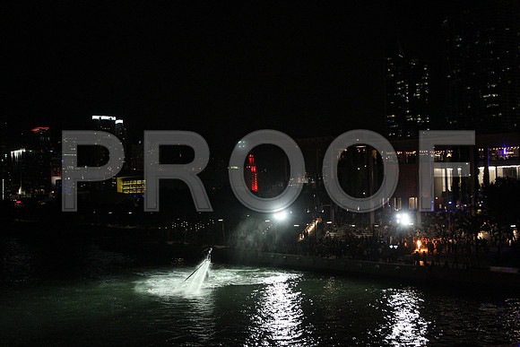 20141204_Pamm_Basel_2014_AL1B6677