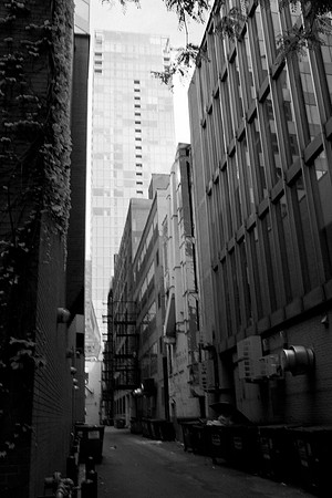 0016_DG_Chicago_Illinois_5L8Y3017
