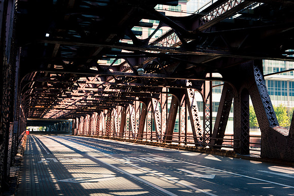 0015_DG_Chicago_USA_2009_5L8Y2211