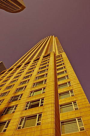 0015_DG_Chicago_USA_2009_5L8Y0703