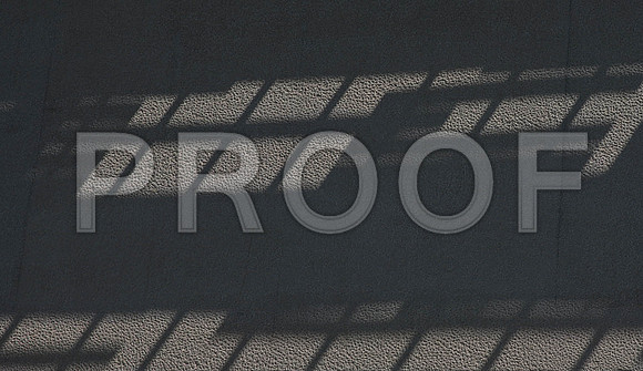 20140801_Pamm_9C7C7953-2