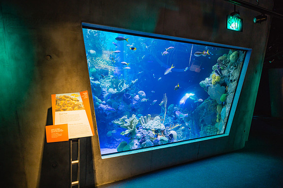 20170508_Science_Museum_9C7C5362