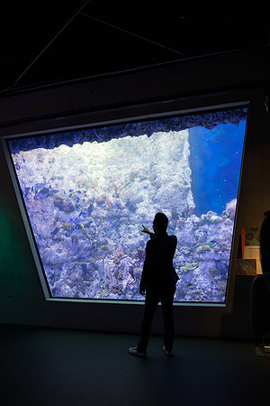 20170508_Science_Museum_9C7C5394
