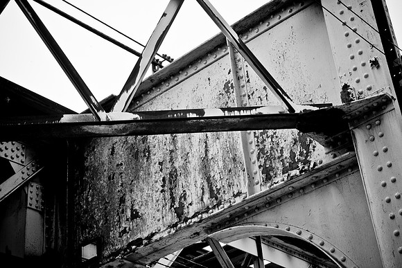 0016_DG_Chicago_Illinois_5L8Y3090