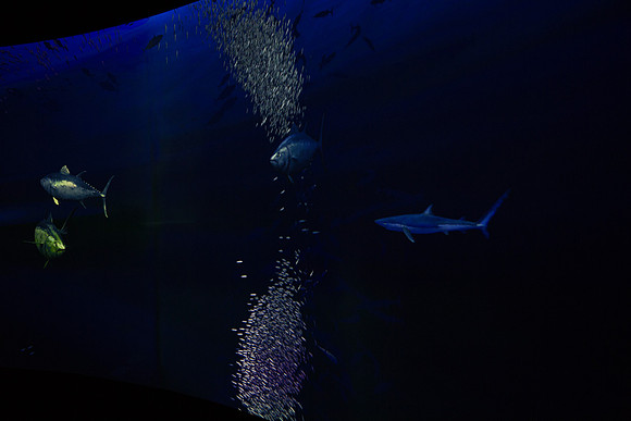20170508_Science_Museum_9C7C5419