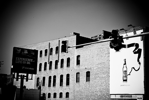 0015_DG_Chicago_USA_2009_5L8Y1275
