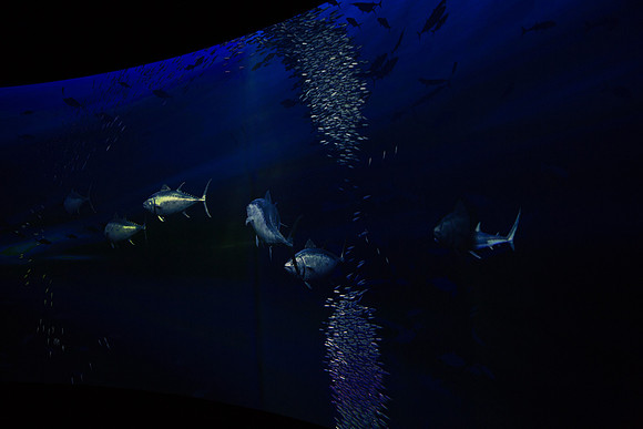 20170508_Science_Museum_9C7C5421
