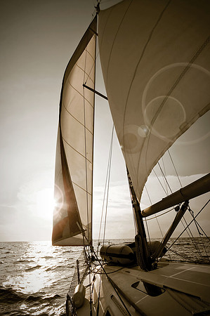 shutterstock_54004051