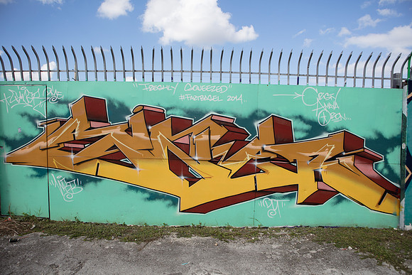 20161108_Wynwood_S5D3040