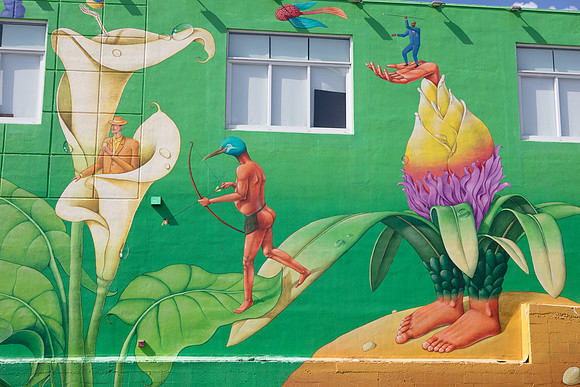 20161108_Wynwood_H5D2839