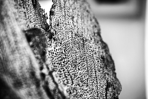 48X72_BW_36163_DG_Color_USA_Harbour_Island_Bahamas_Related_GroupZV4N1804
