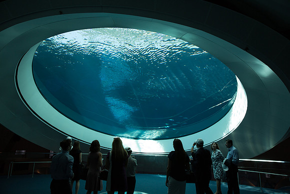 20170508_Science_Museum_9C7C5450