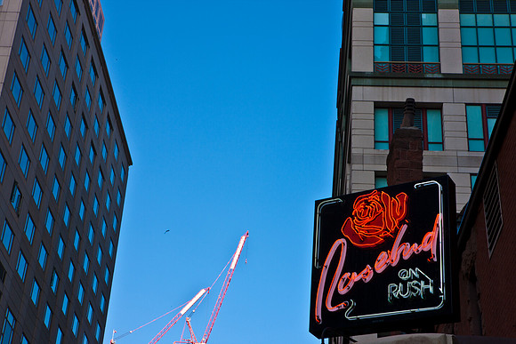 0015_DG_Chicago_USA_2009_5L8Y1597