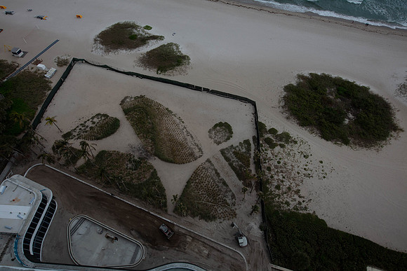 20230124_Solemar_Moriarty_75A6379