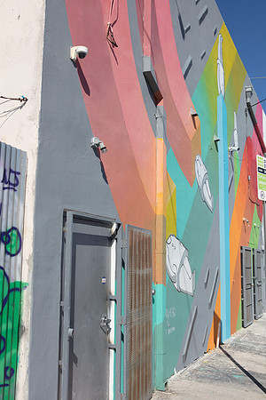 20161122_Wynwood_S5D1633