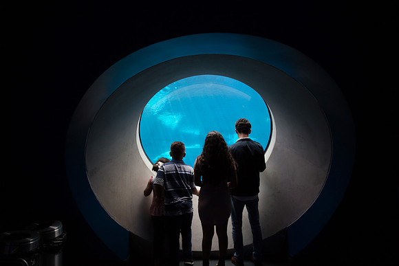 20170508_Science_Museum_9C7C5664
